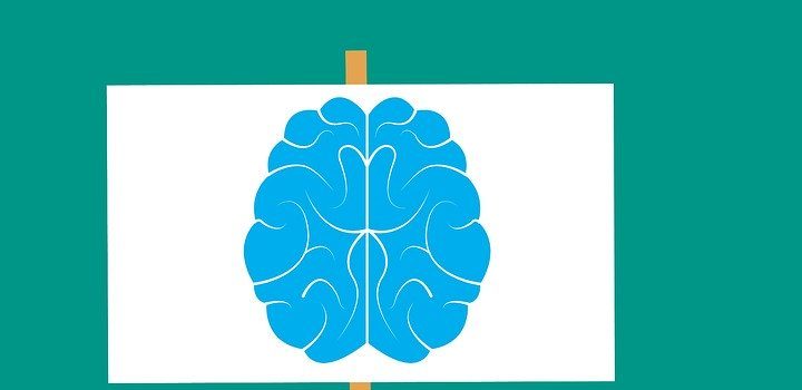 Mozek jako jeden z důležitých orgánů. Čím mu škodíme?