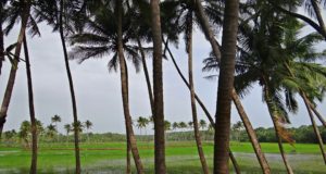 Goa