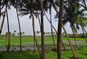 Goa