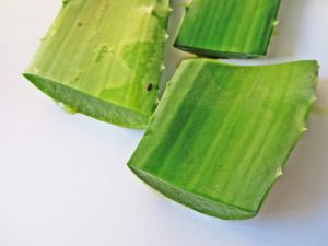 aloe vera