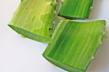 aloe vera